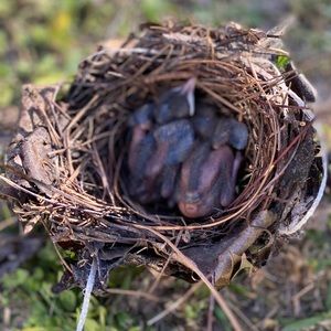 Meet your Posher, Stacey